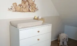 -Leeuwtjes-